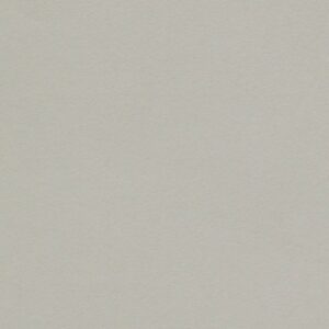 Curious Skin Gris